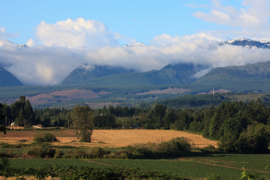 Around Town: Comparing lot and real estate prices between the Comox Valley and Campbell River