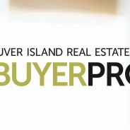 2019 Buyer Profile in Around Town