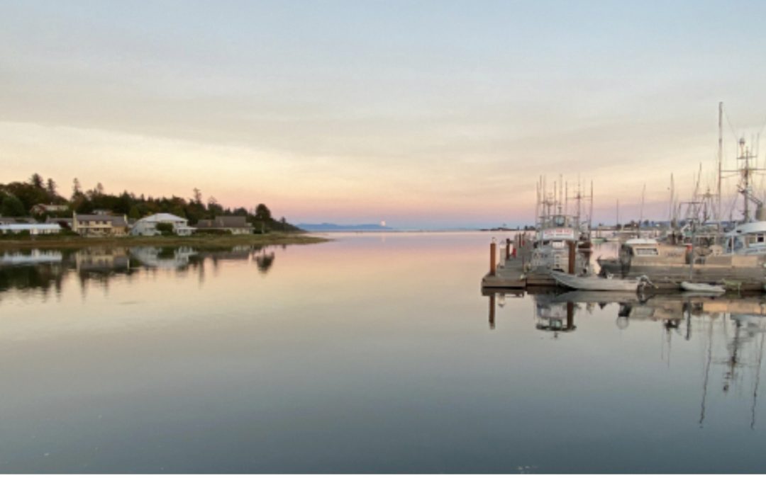 Your Weekly North Vancouver Island Construction News
