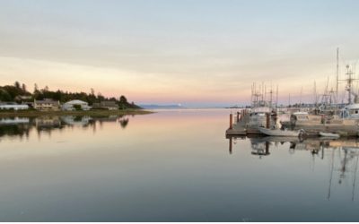 Your Weekly North Vancouver Island Construction News