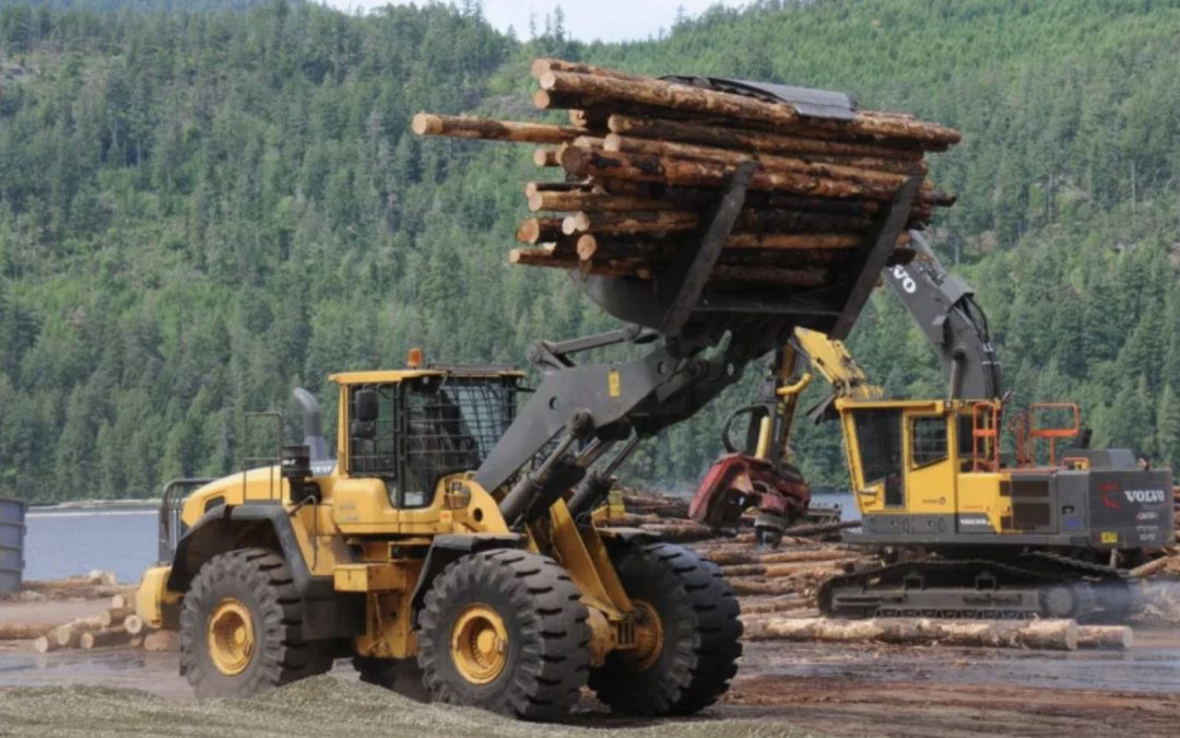 San Group to invest $100 million in Port Alberni in Around Town