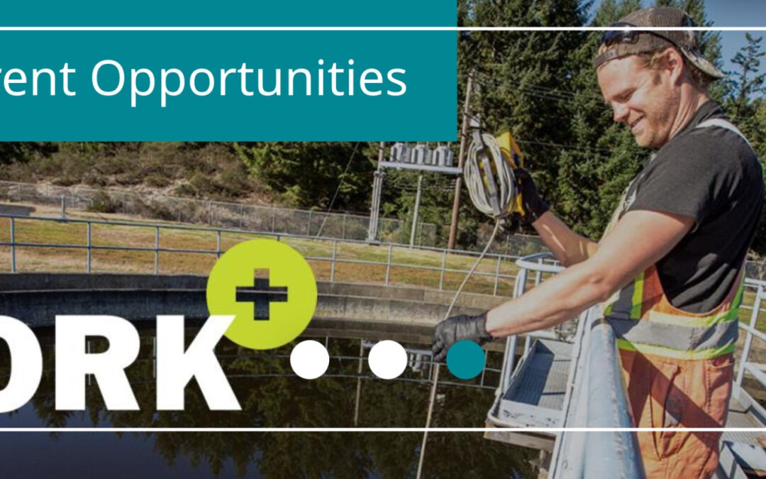 CVRD Job Posting Building Official in Around Town