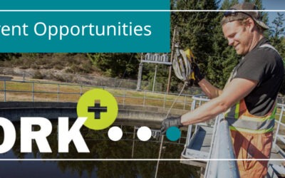 CVRD Job Posting Building Official in Around Town