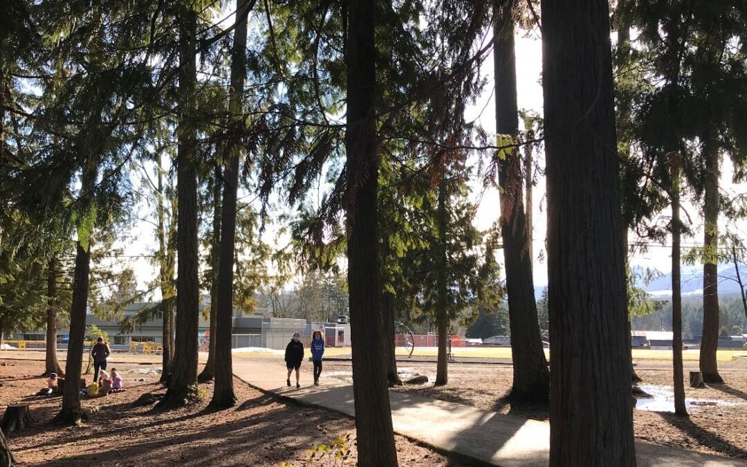 Your Weekly North Vancouver Island Construction News