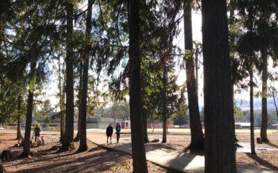 Your Weekly North Vancouver Island Construction News