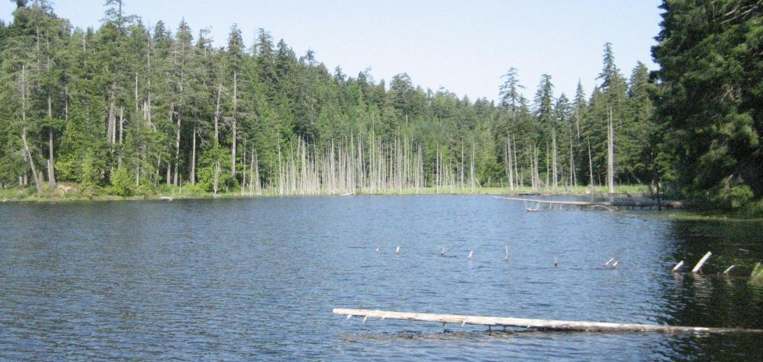 Your Weekly North Vancouver Island Construction News