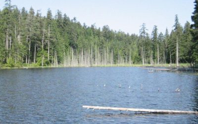 Your Weekly North Vancouver Island Construction News