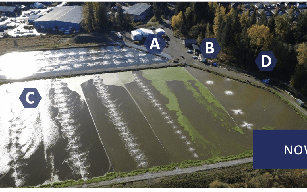 Your Weekly North Vancouver Island Construction News