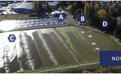 Your Weekly North Vancouver Island Construction News